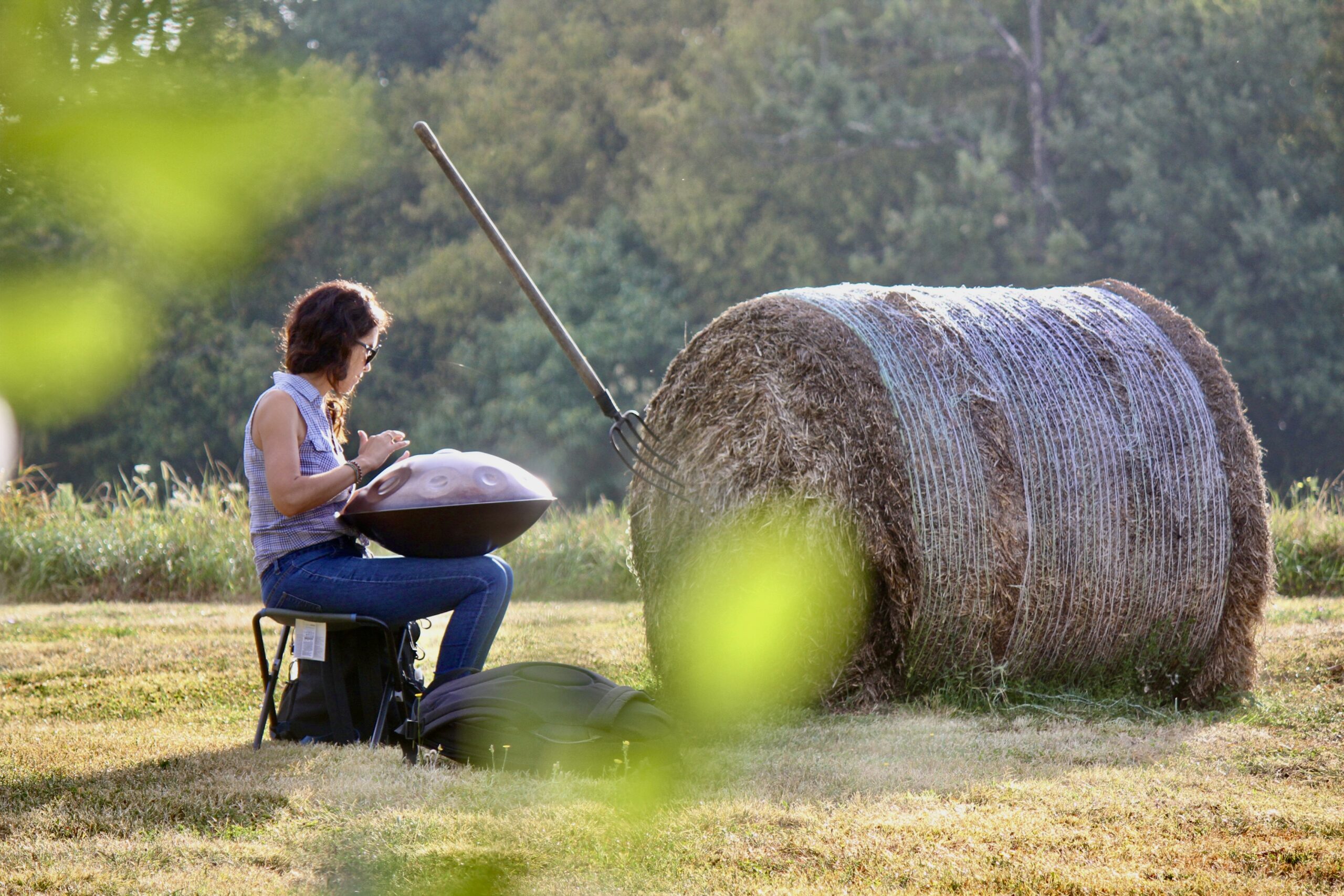 Relaxation musicale Handpan - Domaine de Chenou