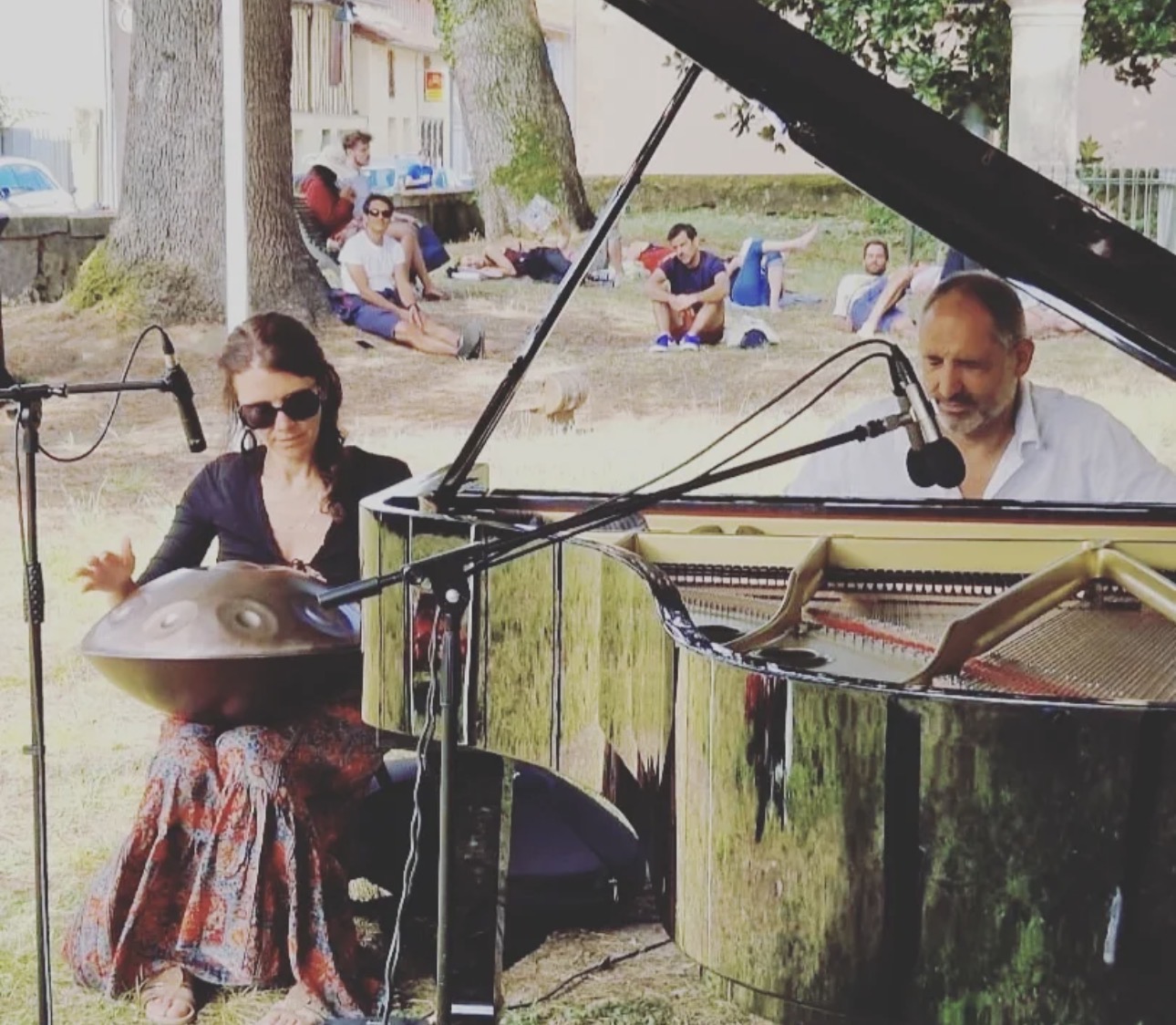 Relaxation musicale Handpan & Piano- Domaine de Chenou